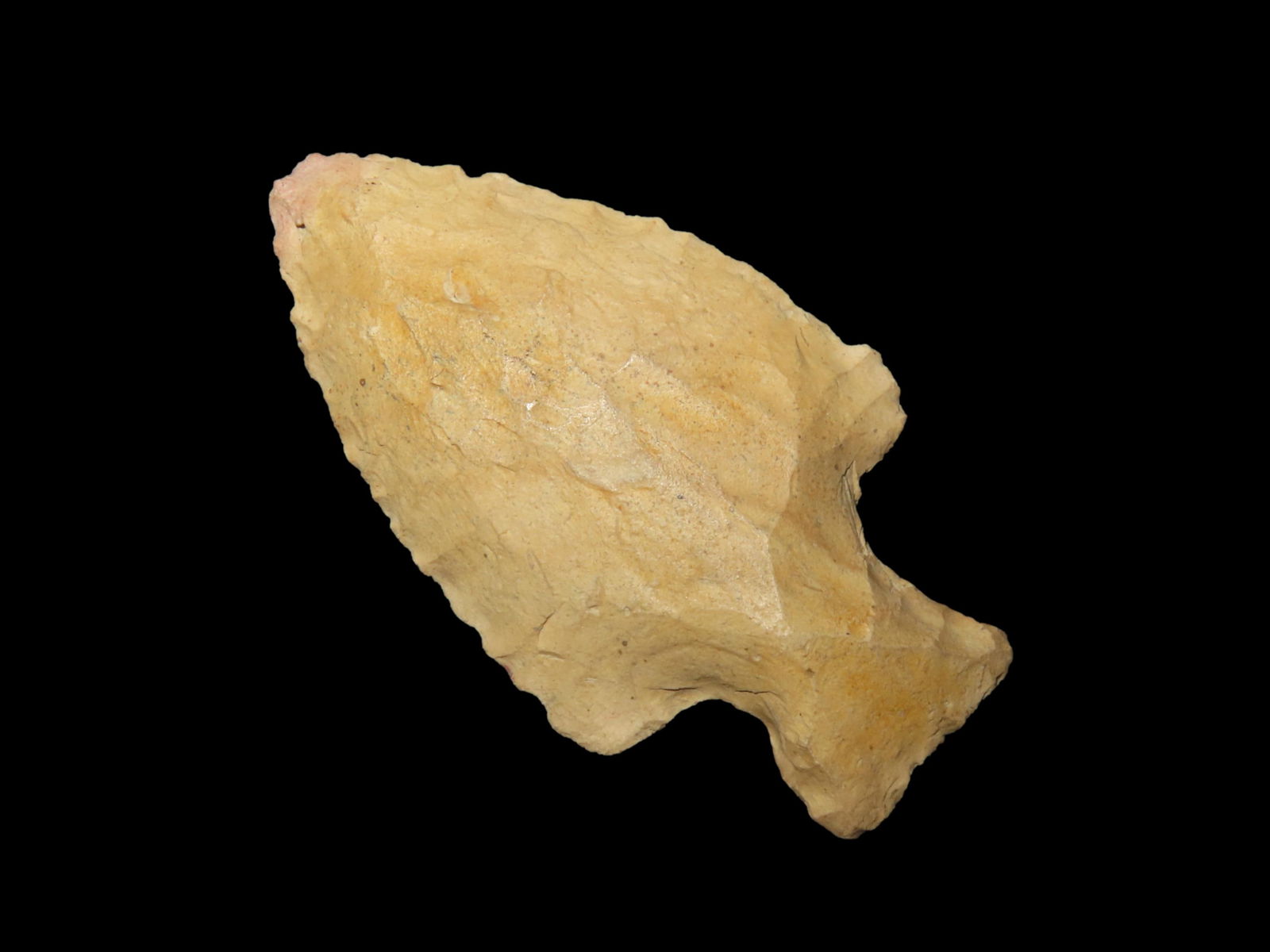 2 1/2" Serrated South Prong Creek, personal find from Florida or Georgia Ex Jeff Thompson Collection (1 of 6)