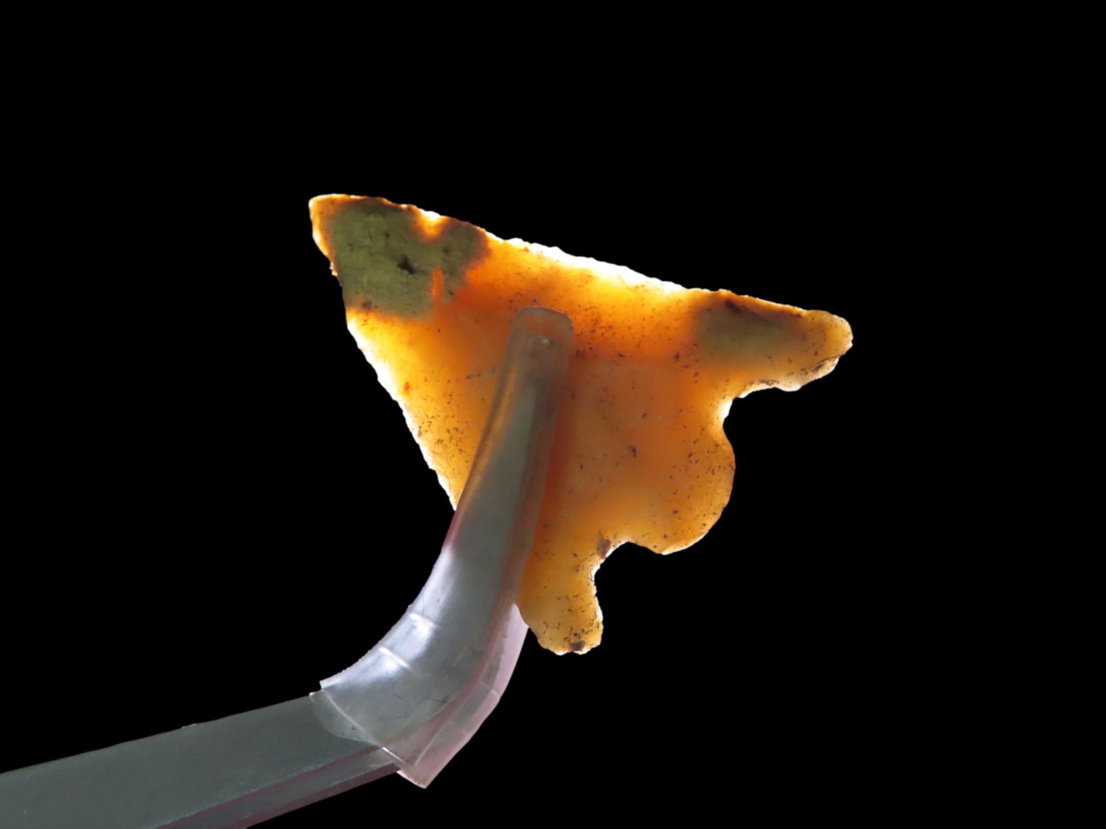 1 1/8" Translucent Hernando Pt., personal find from Florida or Georgia, Ex Jeff Thompson Collection (1 of 6)