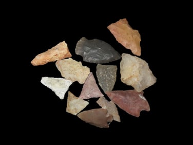 Lot of 12 Pts found in Florida and Georgia from 1968-2023 by Jeff Thompson