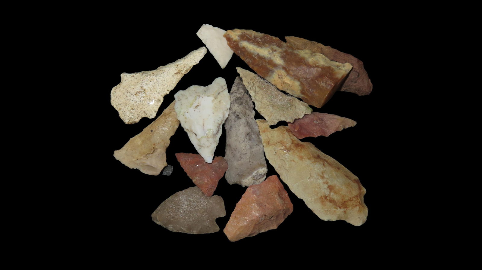 Lot of 12 Pts found in Florida and Georgia from 1968-2023 by Jeff Thompson (1 of 4)