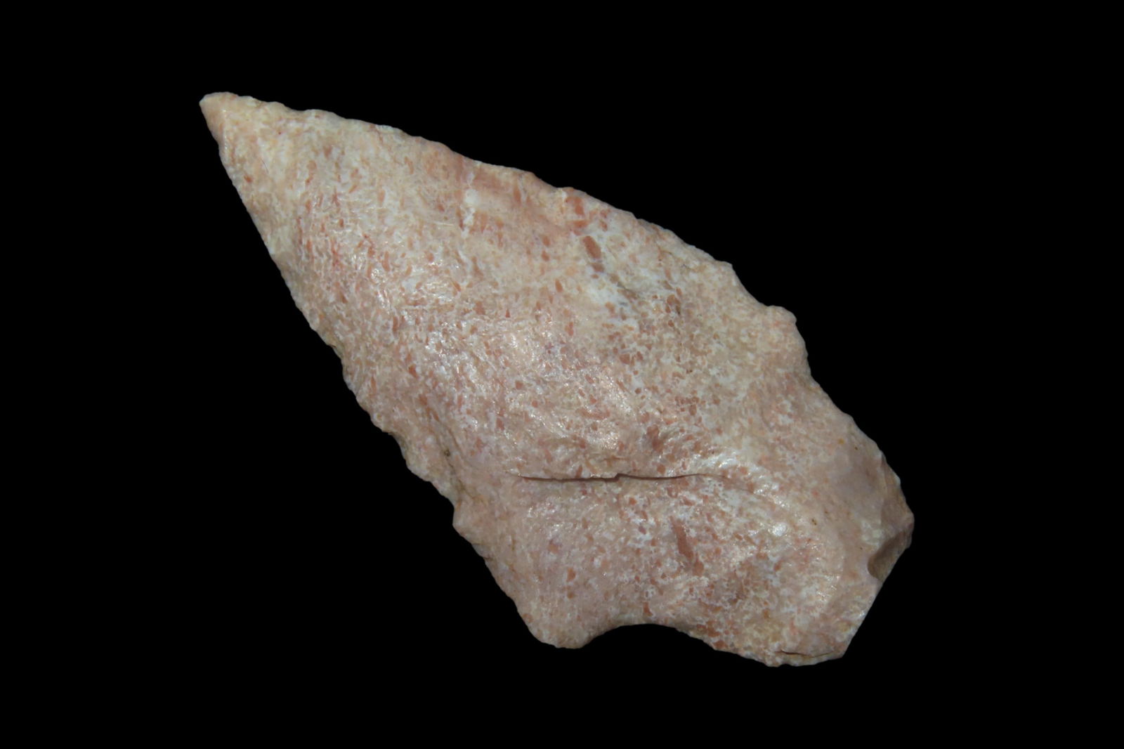 2 3/16" Dickson Pt, found in Polk Co., Florida between 1968-2023 by Jeff Thompson (1 of 4)