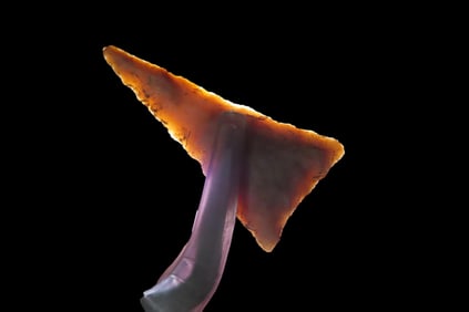 1 1/4" Fort Ancient Pt., found in 1929 near Ashland, Boyd Co., Kentucky, Ex Jeff Thompson Collection