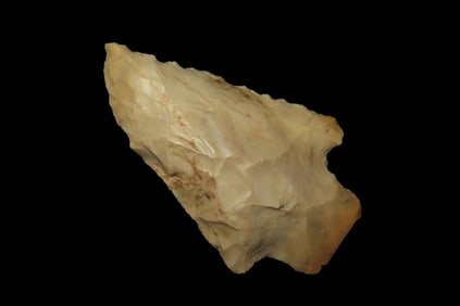 2 3/8" Arrowhead, found in Florida or Georgia between 1968-2023 by Jeff Thompson