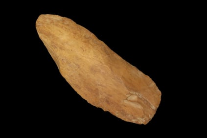 4 5/8" Archaic Blade, found in Polk Co., Florida between 1968-2023 by Jeff Thompson