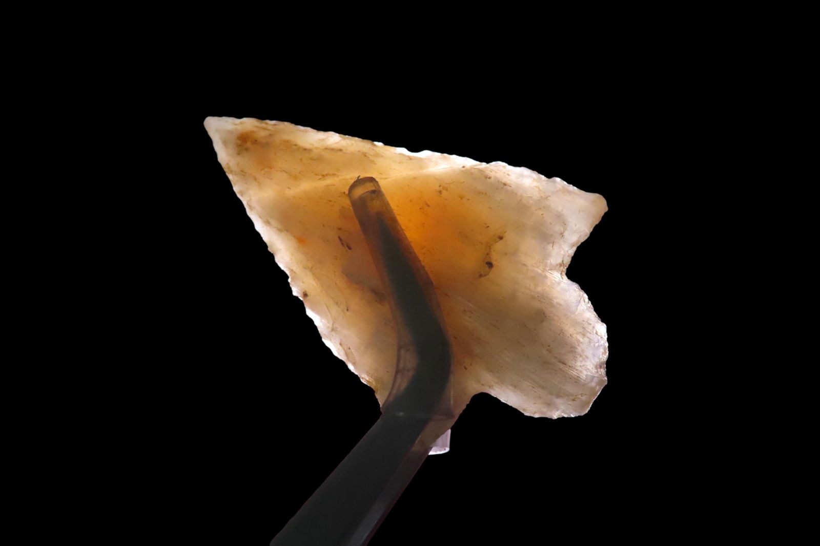 2 1/8" Newnan, found in Polk Co., Florida between 1968-2023 by Jeff Thompson (1 of 5)