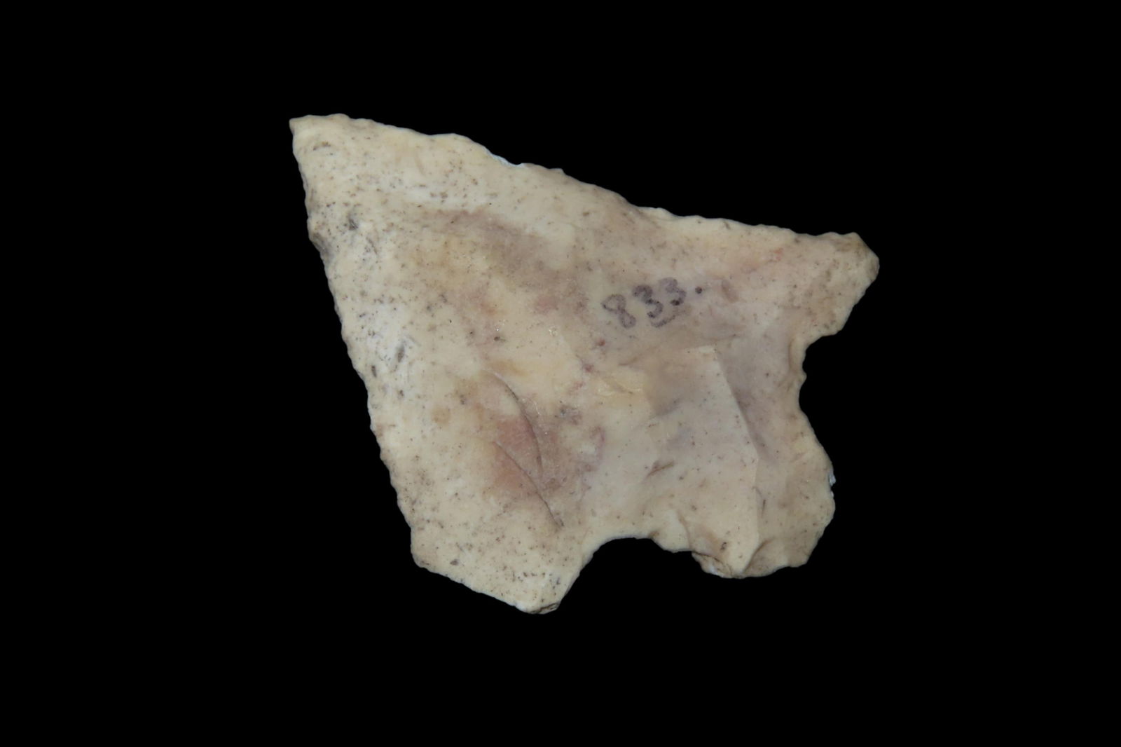 1 15/16" Arrowhead, found in Florida or Georgia between 1968-2023 by Jeff Thompson (1 of 4)