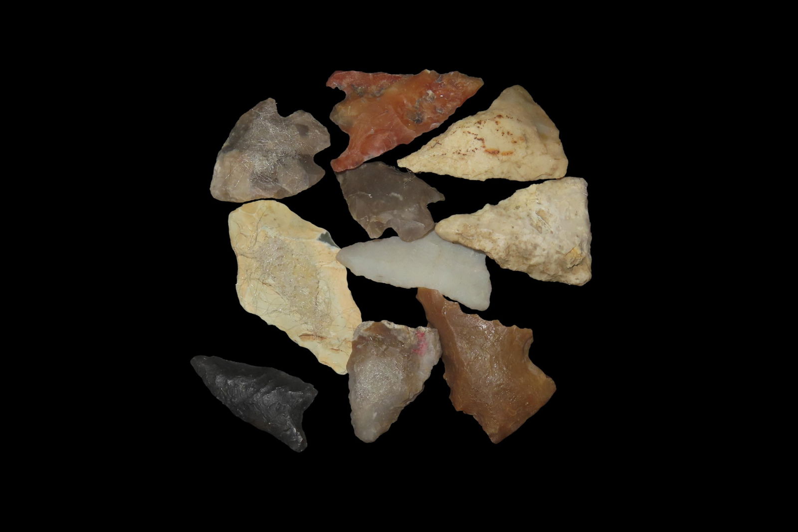 Lot of 10 Pts, found in Florida and Georgia between 1968-2023 by Jeff Thompson (1 of 4)