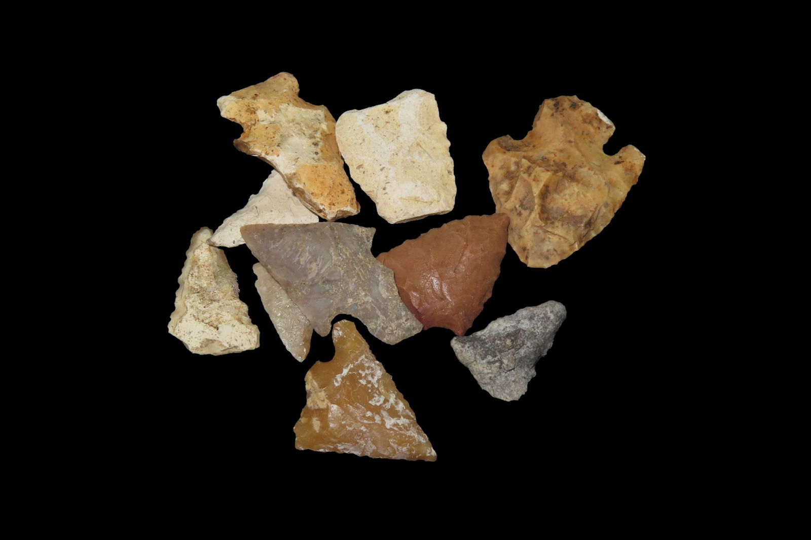 Lot of 10 Pts, found in Florida and Georgia between 1968-2023 by Jeff Thompson (1 of 4)