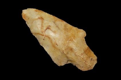 2 5/16" Adena, found in Florida or Georgia between 1968-2023 by Jeff Thompson