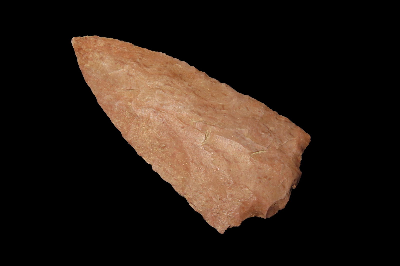 2 3/4" Eva, found in Florida, between 1968-2023 by Jeff Thompson (1 of 4)