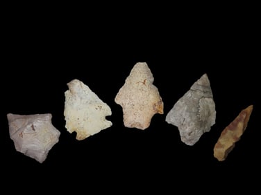 Group of 5 Pts found in Florida and Georgia, Ex Jeff Thompson Collection