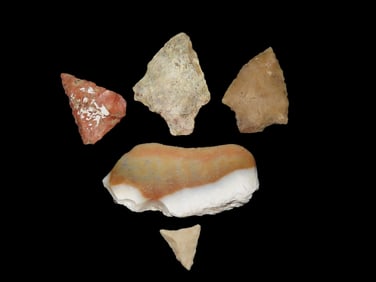 Group of 5 Pts found in Florida and Georgia, Ex Jeff Thompson Collection