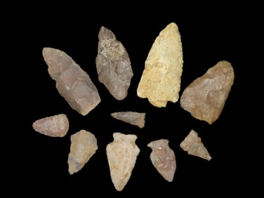 Lot of 10 Florida and Georgia Pts, found between 1968-2023 by Jeff Thompson