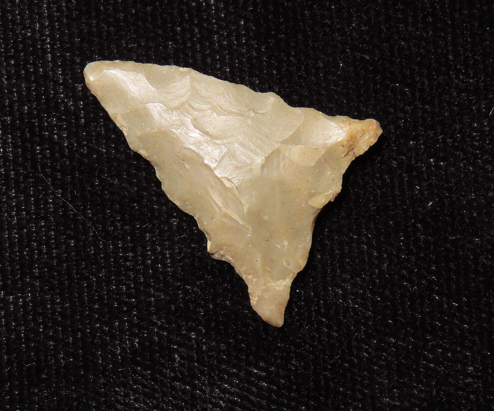 7/8" Fort Ancient, found in 1929 Near the City of Ashland, Boyd Co., Kentucky, Ex Jeff Thompson (1 of 6)