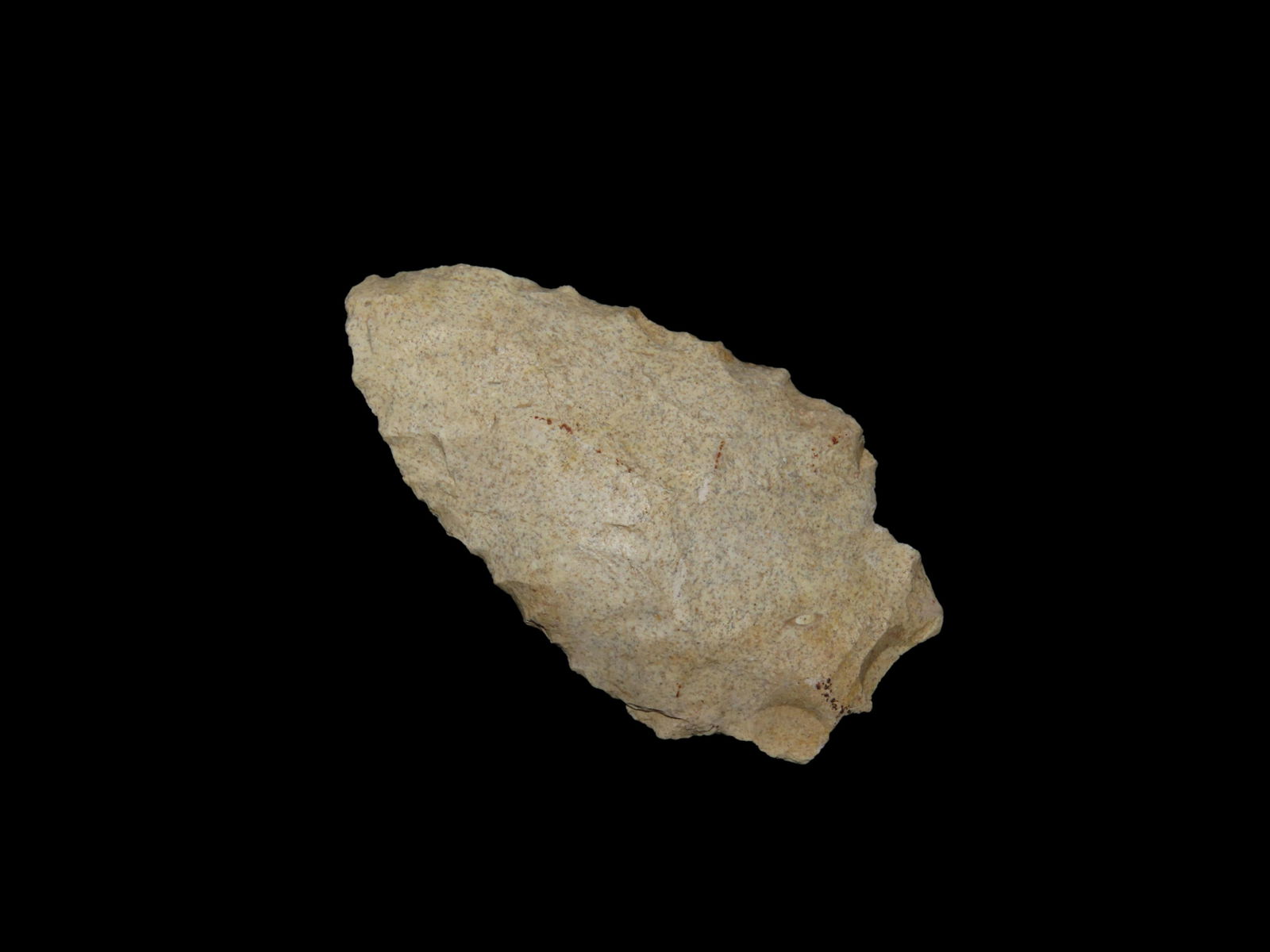 2 3/8" Arrowhead, found in Florida or Georgia between 1968-2023 by Jeff Thompson (1 of 6)