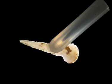 1" Micro-Drill, found in the Midwest, Ex Jeff Thompson Collection