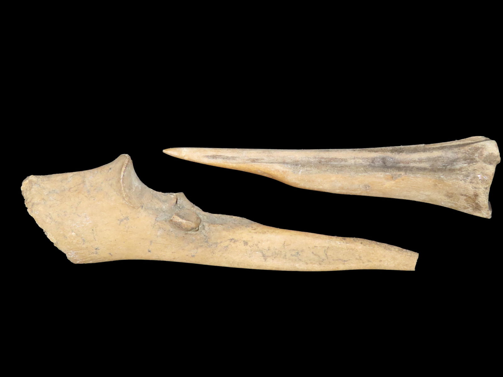 Set of 2 Quality Bone Trigger Awls/Perforators, found in Tennessee, Ex Parker (1 of 8)