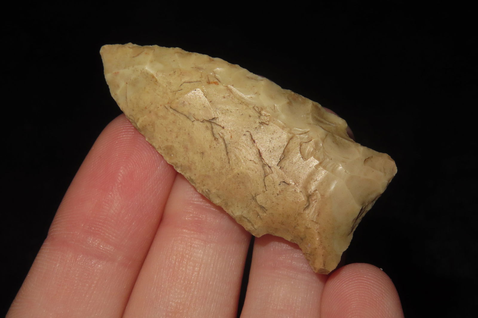 1 3/4" Bird Point - 2