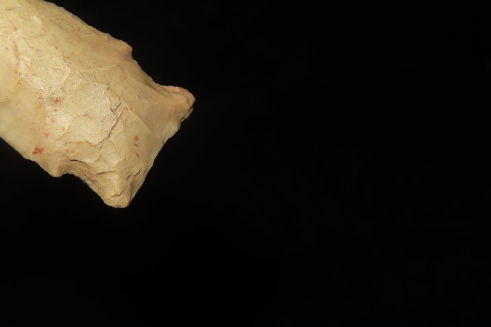 1 3/4" Bird Point - 5