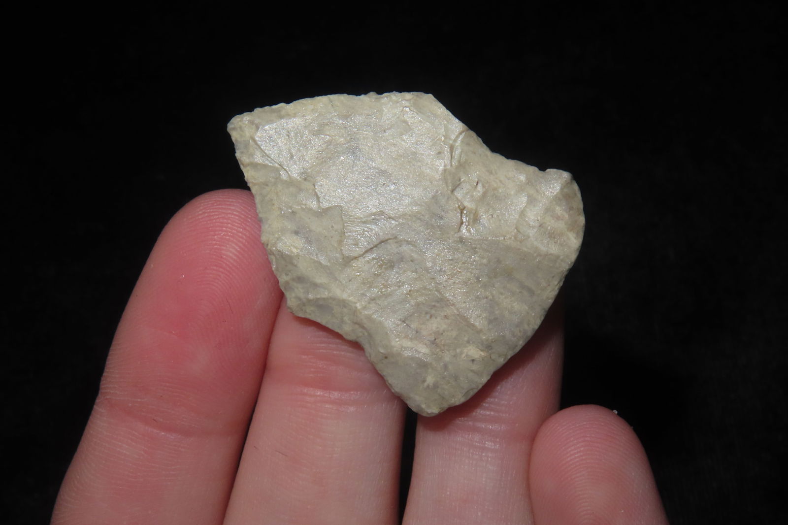 1 1/4" Bird Point - 2