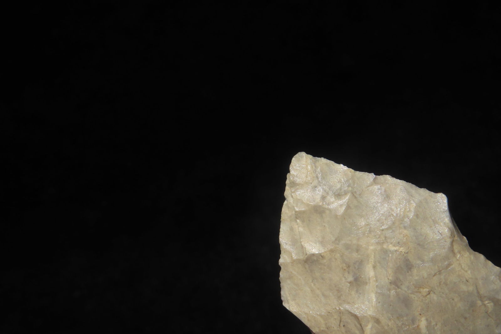 1 1/4" Bird Point - 4