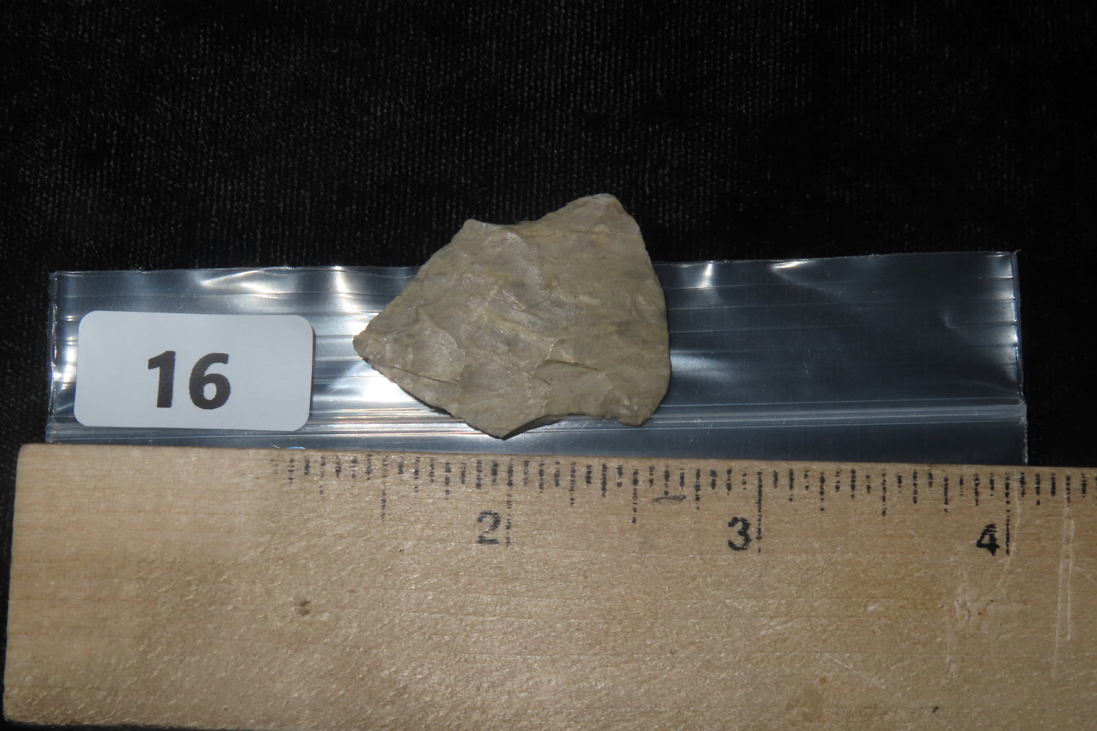 1 1/4" Bird Point - 6