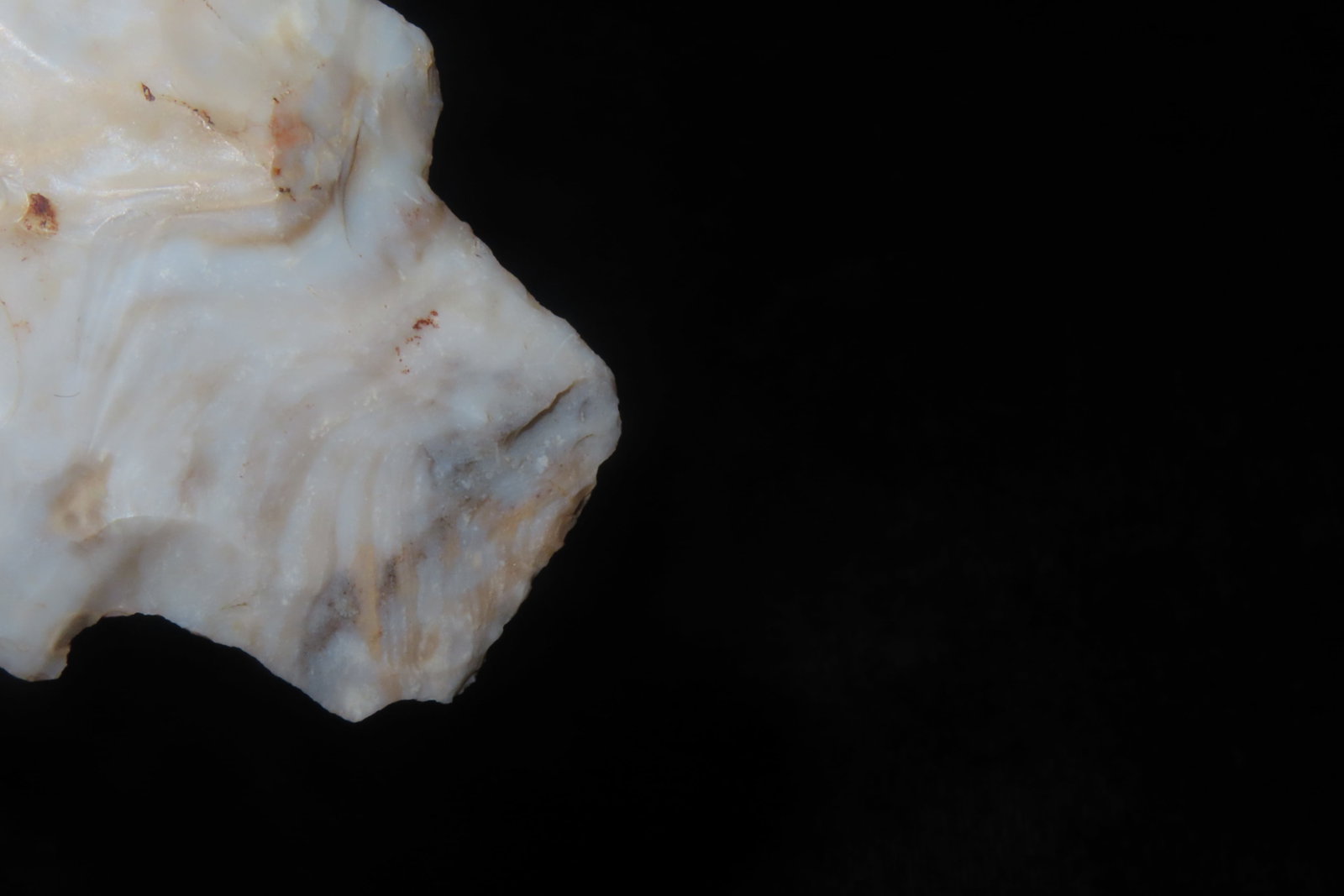 2 1/4' Stemmed Pt. - 6