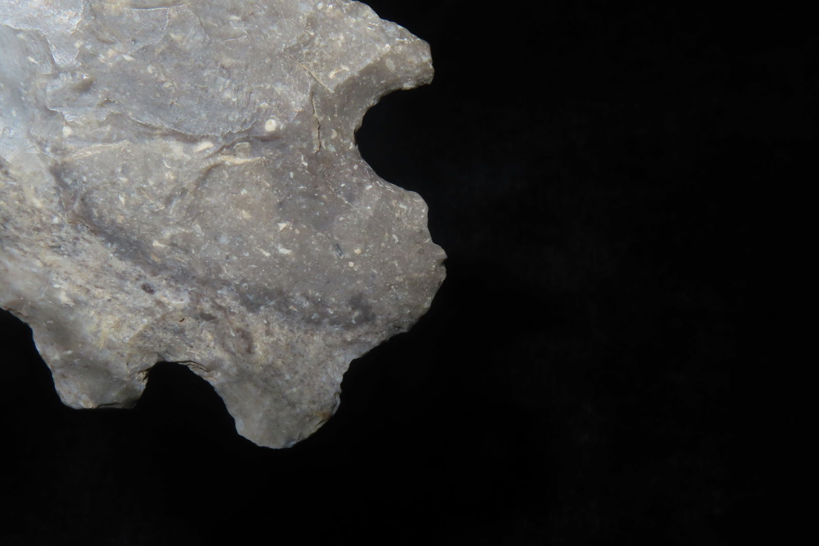 2 3/8" MacCorkle - 5