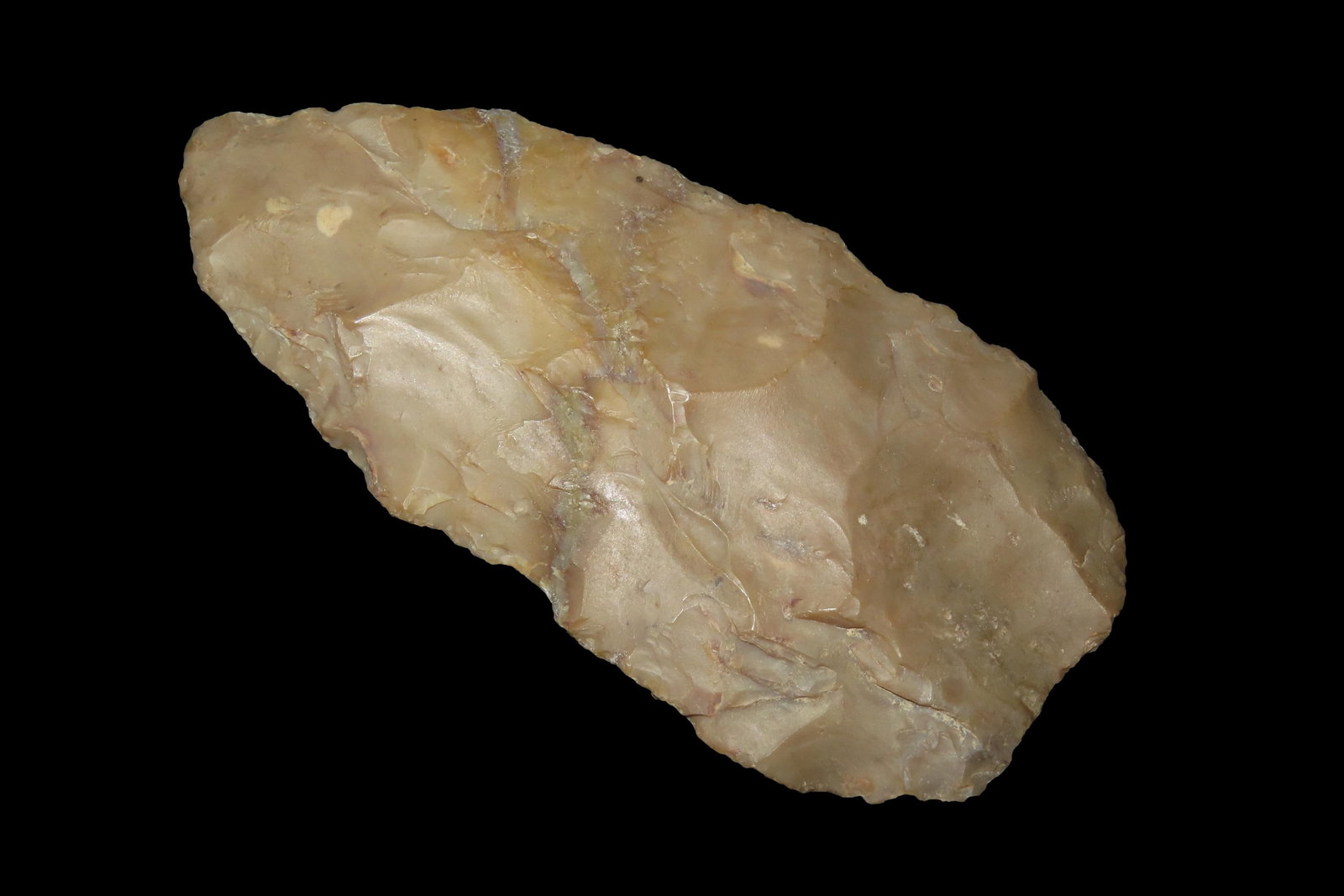 3 7/8' Cobbs Blade, found in Brunswick Co., Virginia: 3 7/8" Cobbs Blade, found in Brunswick Co., Virginia