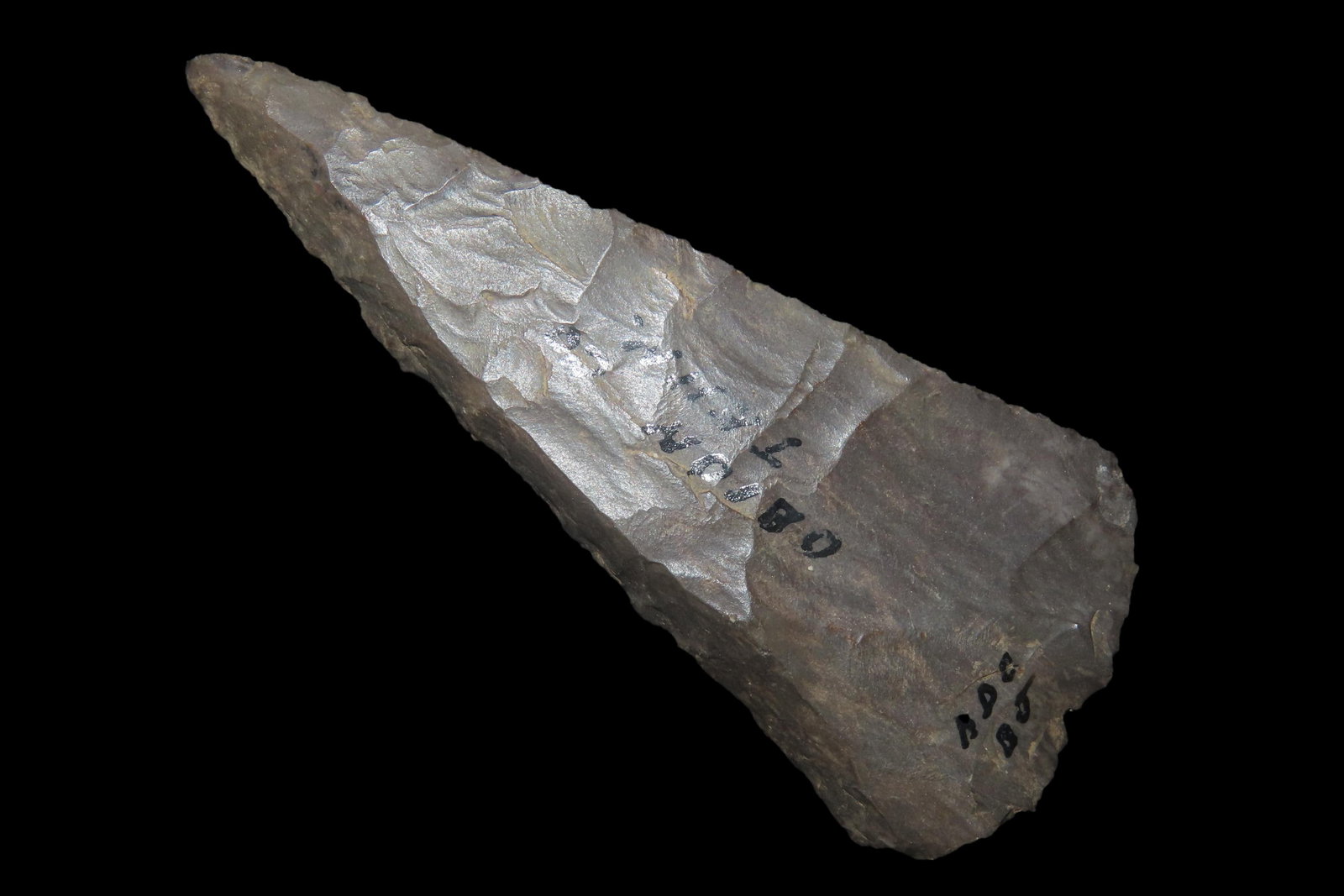 3 1/2' Cobbs Blade, found in Obion Co., Tennessee: 3 1/2" Cobbs Blade, found in Obion Co., Tennessee