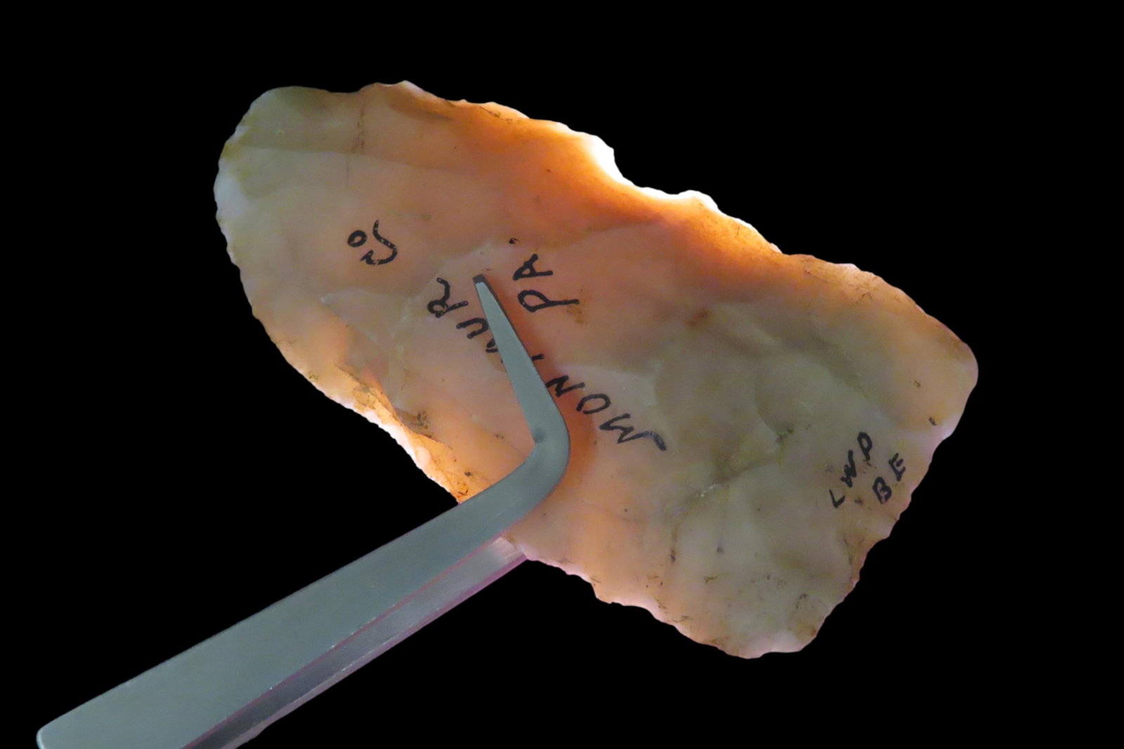 2 7/8' Blade, found in Montour Co., Pennsylvania: 2 7/8" Blade, found in Montour Co., Pennsylvania