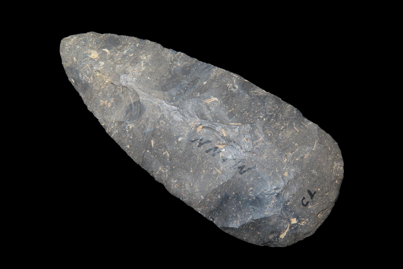 3 1/8' Blade, found in Minnesota: 3 1/8" Blade, found in Minnesota