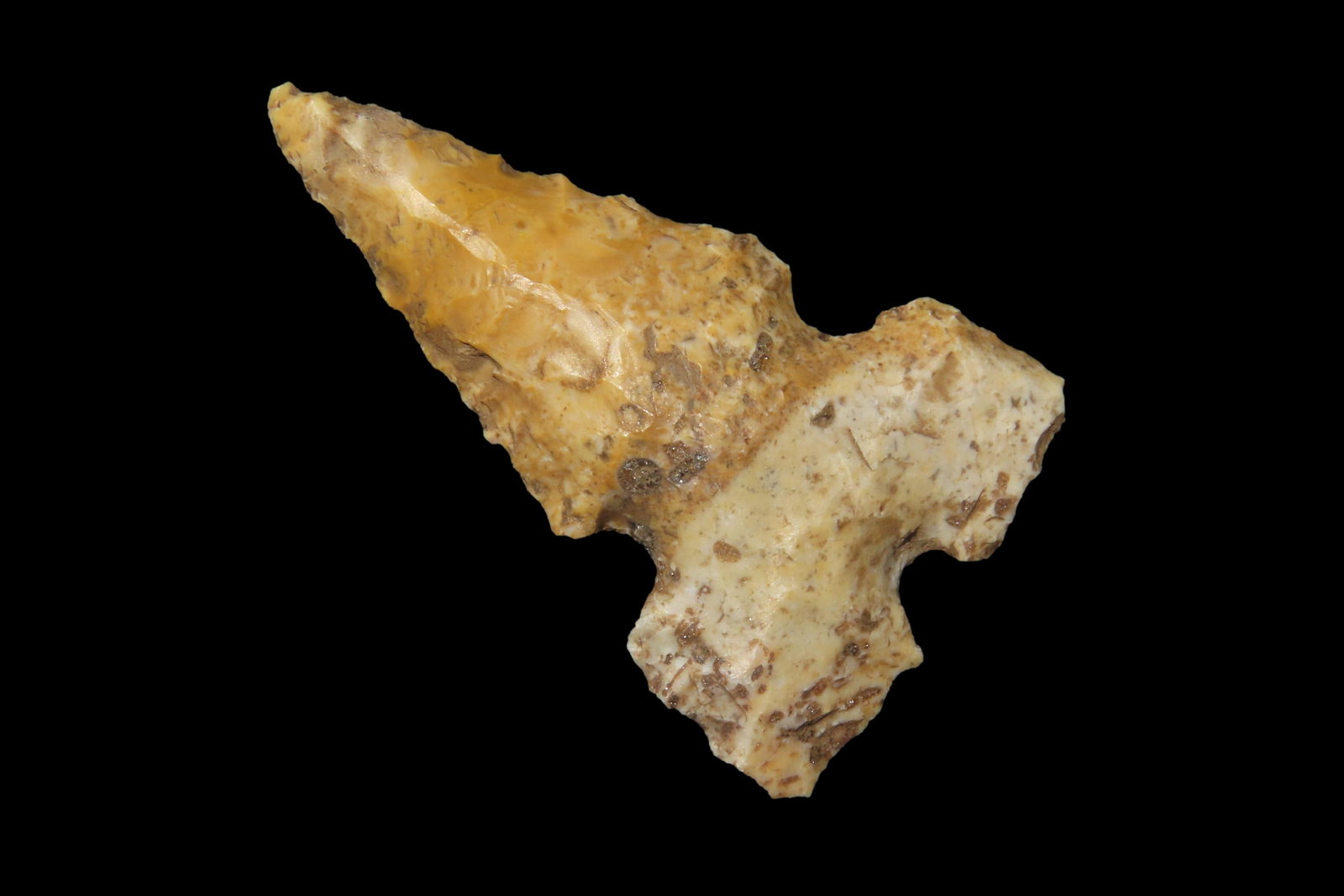 1 1/4' x 3/4' Cahokia, Partain COA, Tan Burlington Chert, Illinois (1 of 8)
