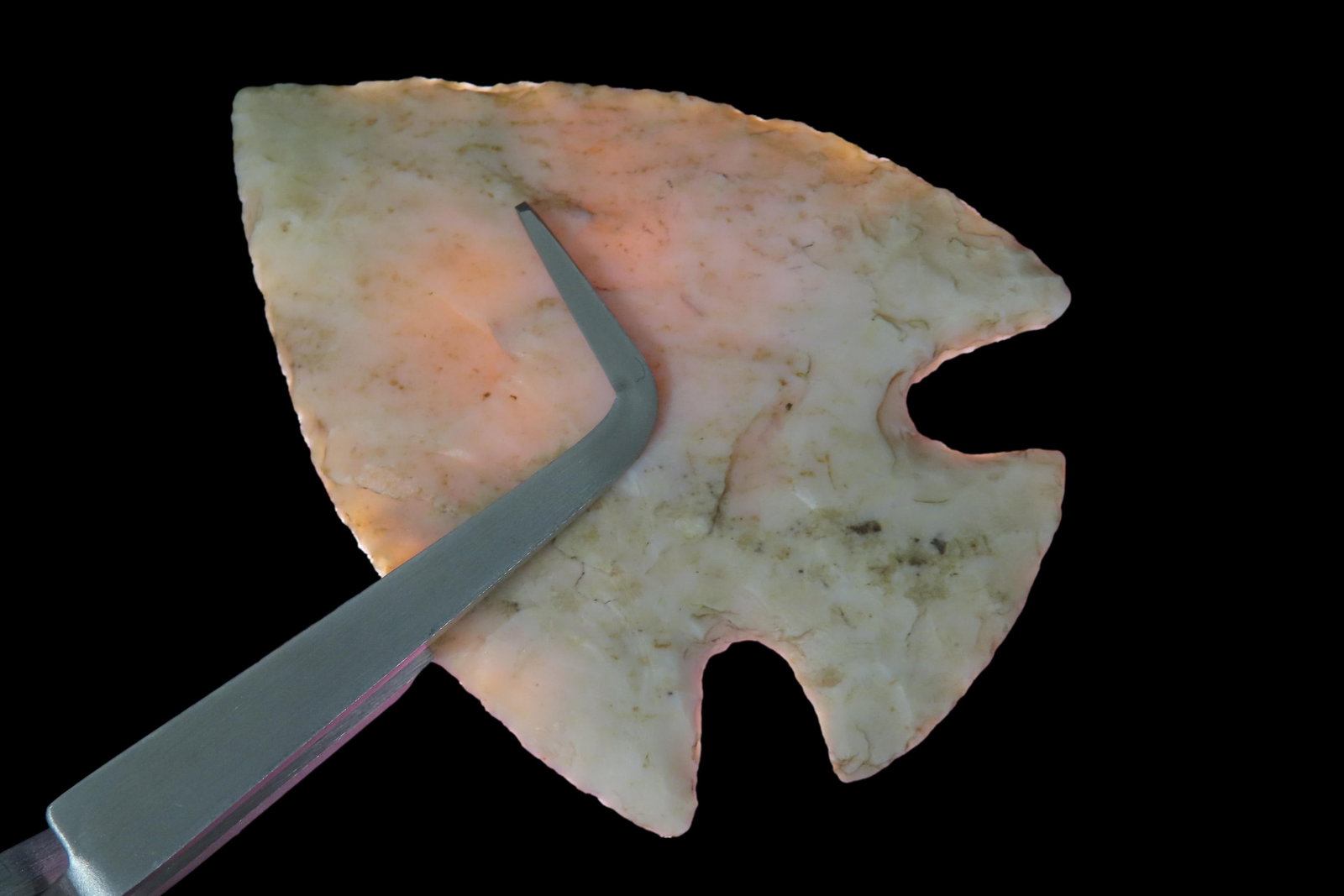 2 13/16" x 2 1/16" Snyders, Partain COA, Burlington Chert, Pike County Illinois: 2 13/16" x 2 1/16" Snyders, Partain COA, Burlington Chert, Pike County Illinois