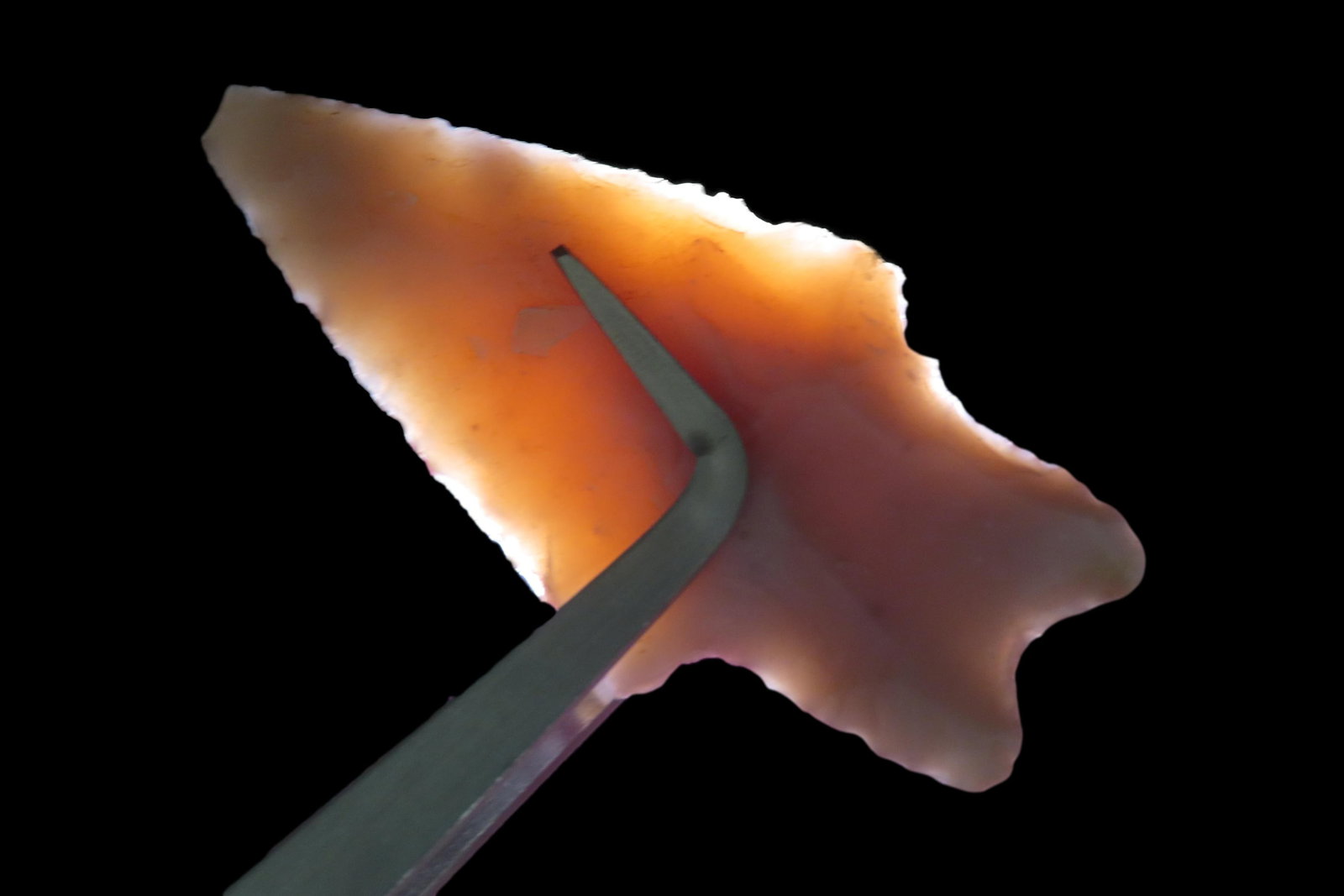 Lot of 2 Texas Pedernales Pts. (1 of 5)