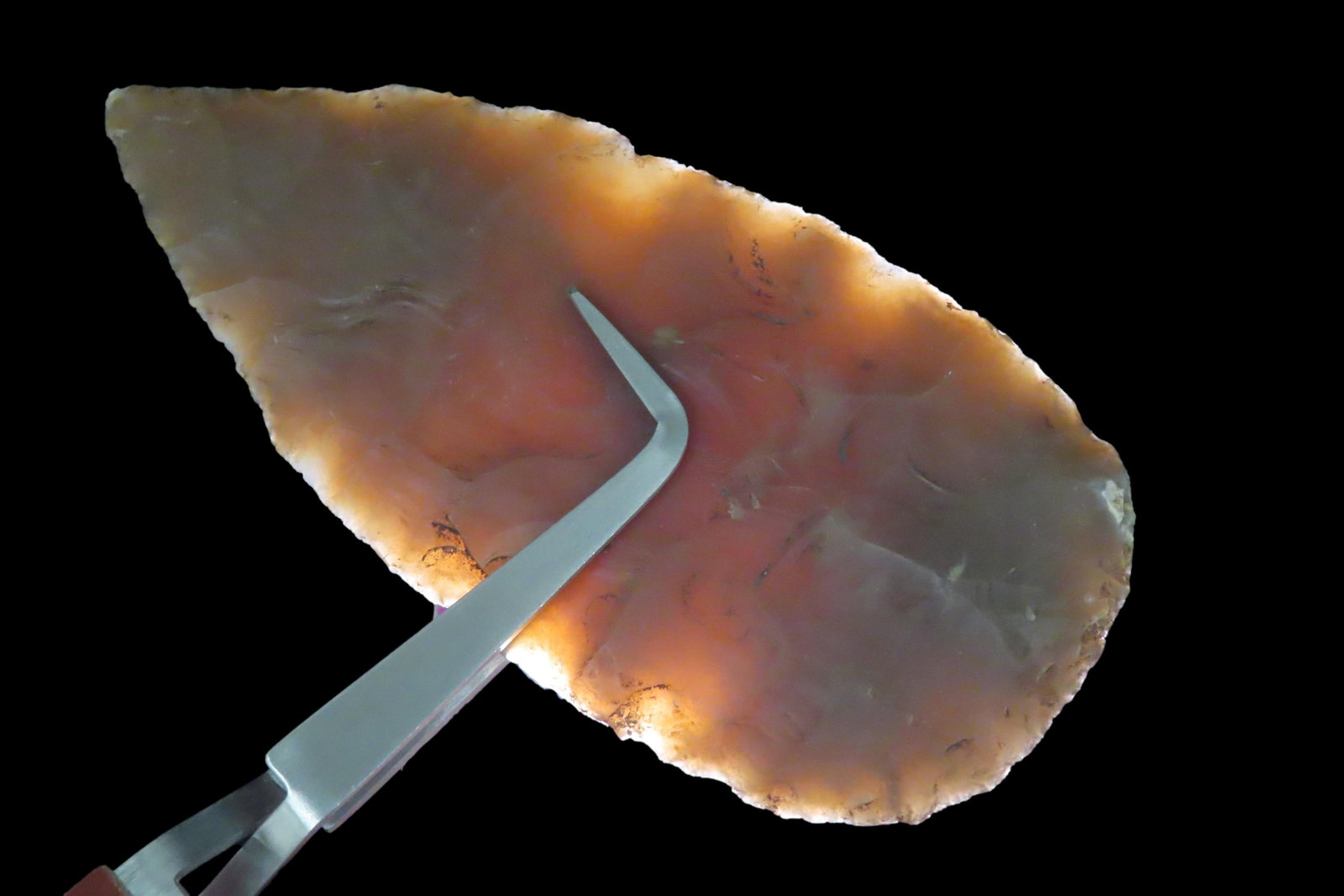 4 5/8" Covington Blade, Crane Co., Texas: 4 5/8" Covington Blade, Crane Co., Texas