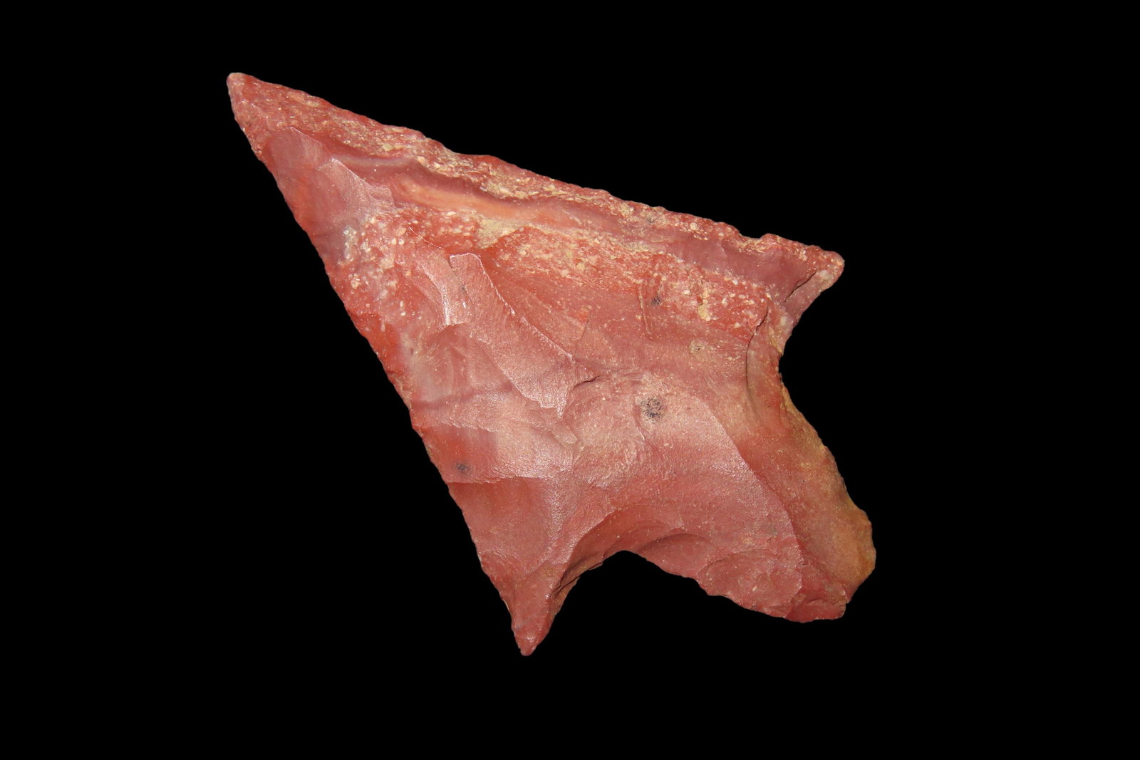 2" Langtry Arenosa, Coryell Co., Texas (1 of 6)