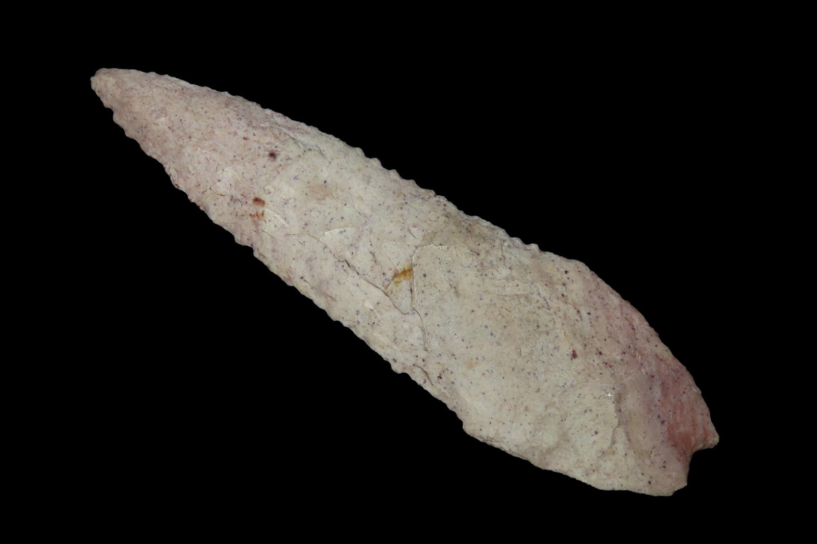 3 7/8" Angostura, found in Lincoln Co., Missouri (1 of 6)