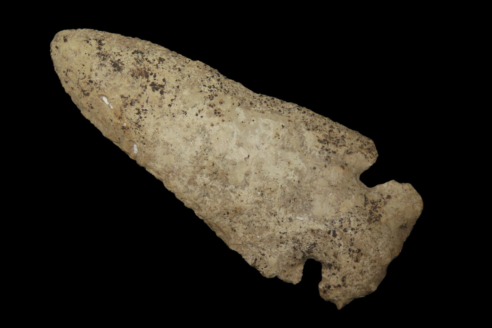 4 3/16' x 1 3/4' Thebes, Burlington Chert, Pike County Illinois, COA Roy Motley & John Leithoff, Ex. (1 of 8)