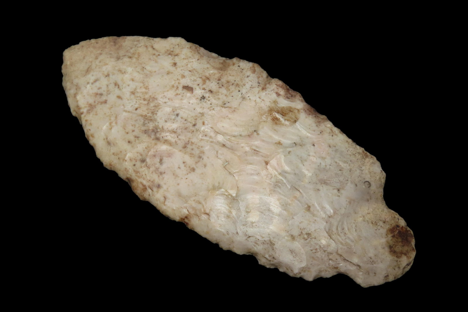 5 1/4' x 2 3/16' Early Ovoid Knife, Burlington Chert, Vernon County Missouri, COA Michelle Hootman & (1 of 8)