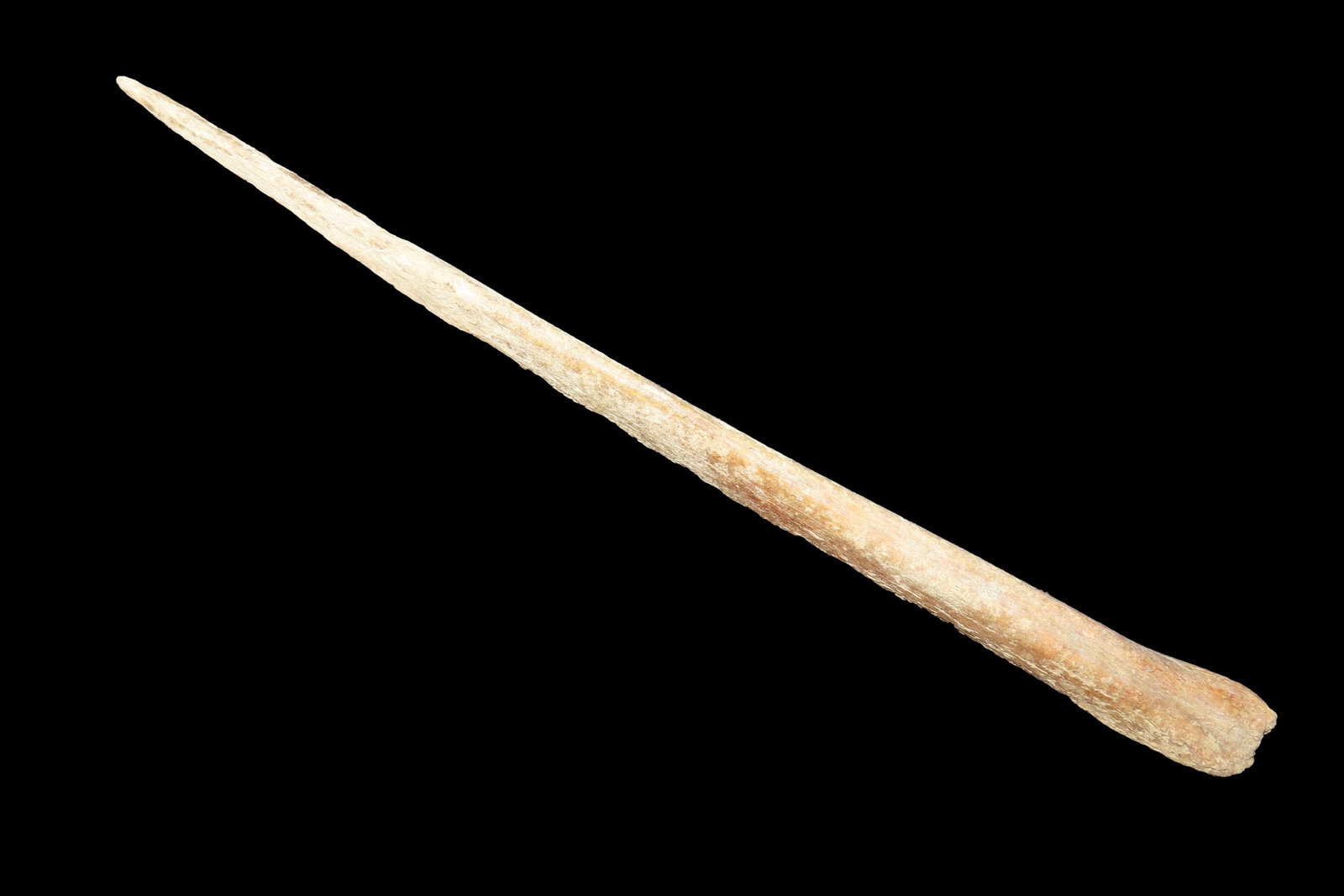 7 7/8' Bone Awl, Kentucky: 7 7/8" Bone Awl, Kentucky