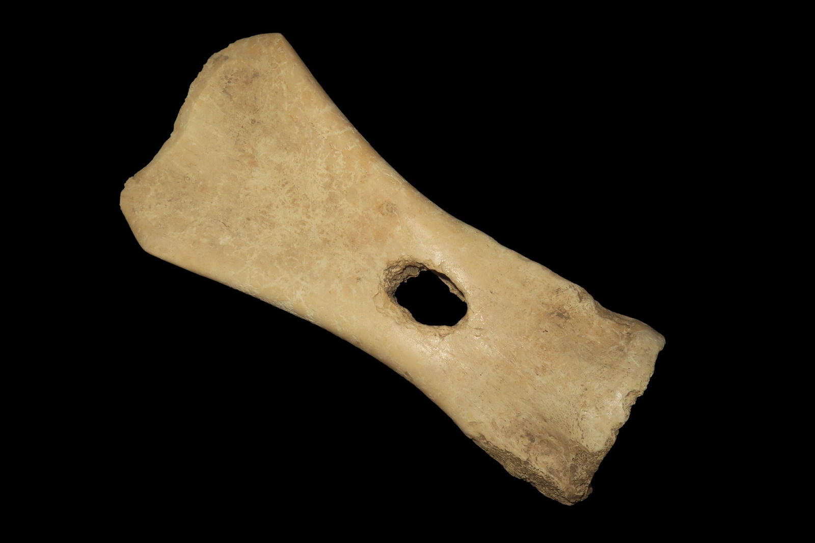 8' Buffalo Bone Hoe, North Dakota (1 of 7)