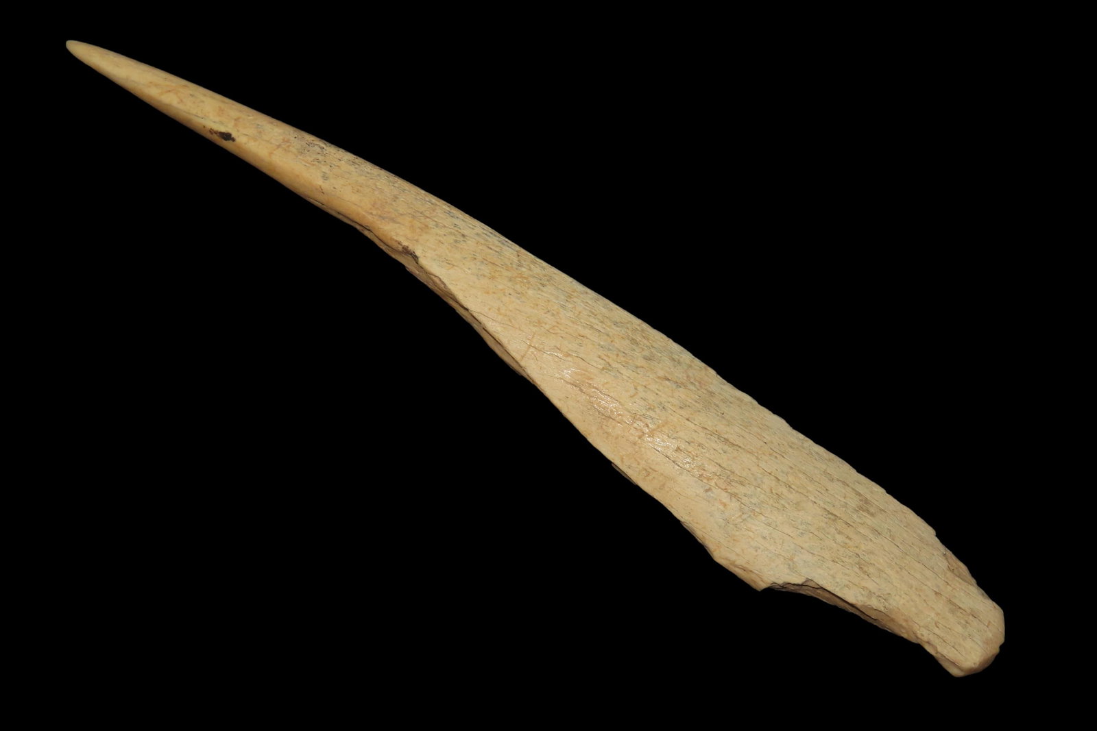 6 3/8' Mandan Bone Awl (1 of 6)
