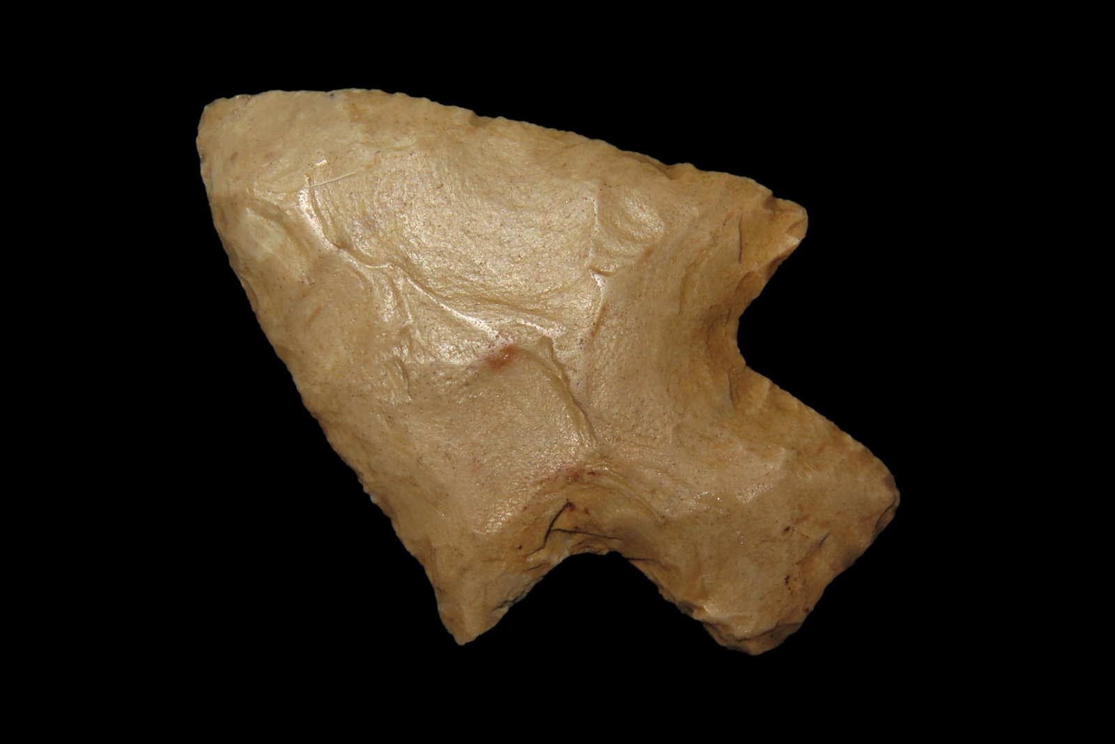 1 15/16' Neville, Found in New Hampshire, For Identification Reference Overstreet 10th Edition Pg. (1 of 5)