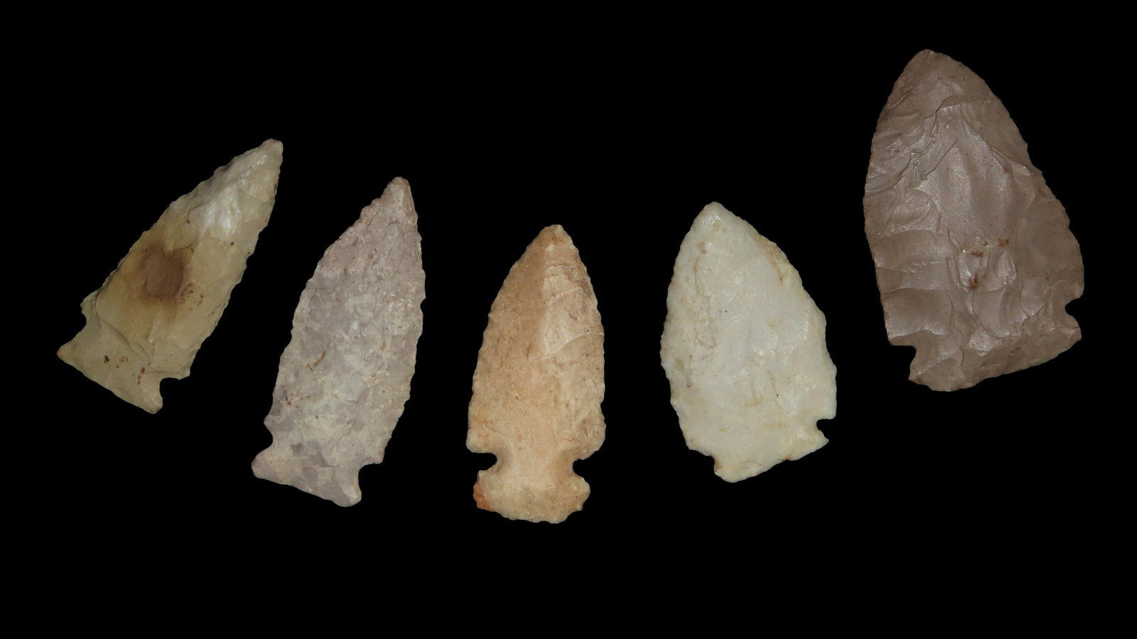Group of 5 Robinson Pts, Late Archaic, 4000-3000 BP., For Identification Reference Overstreet 12th (1 of 4)