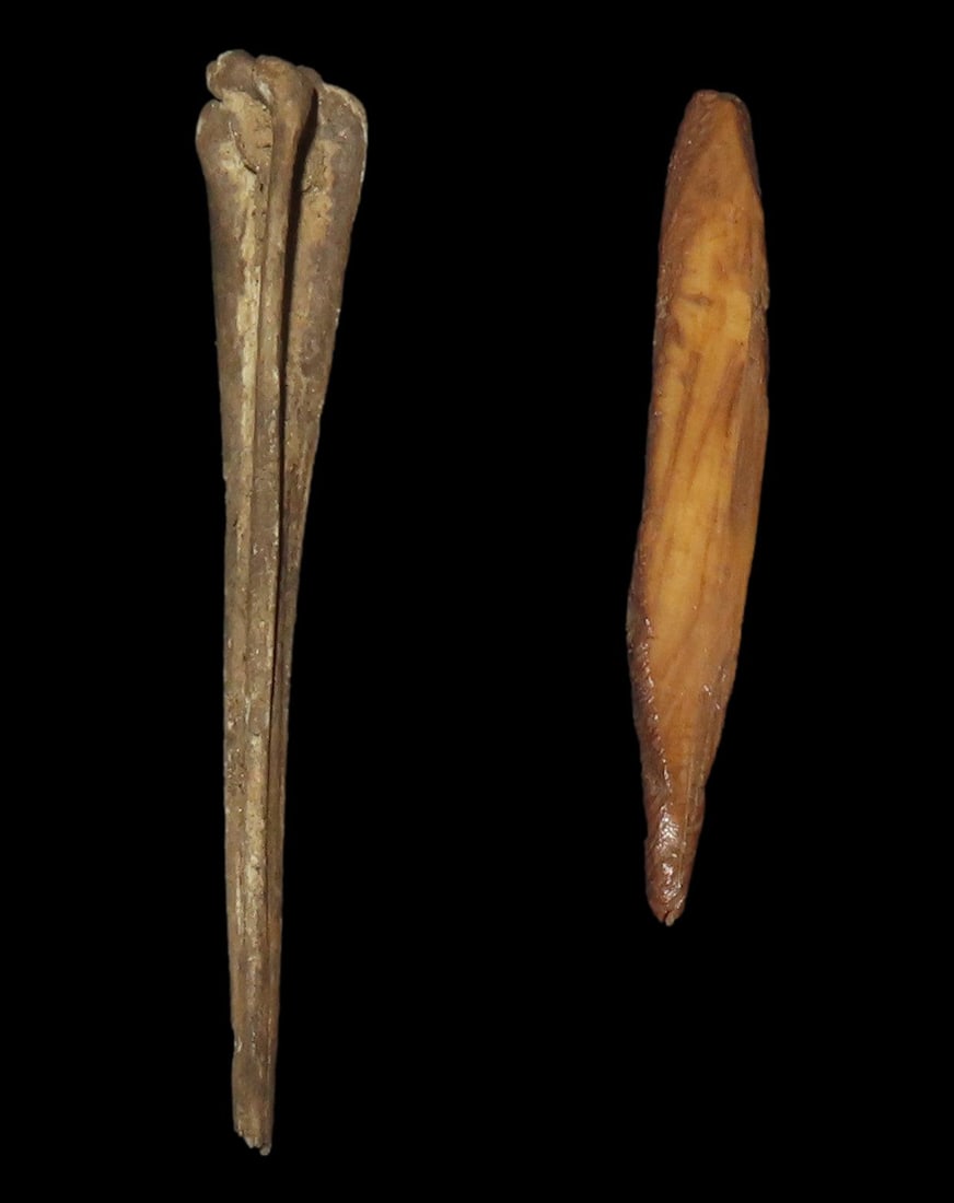 Set of 2 Antler Pins, Mineralized Black, see BK 'Antler Bone & Shell Artifacts' pg 245: Set of 2 Antler Pins, Mineralized Black, see BK "Antler Bone & Shell Artifacts" pg 245