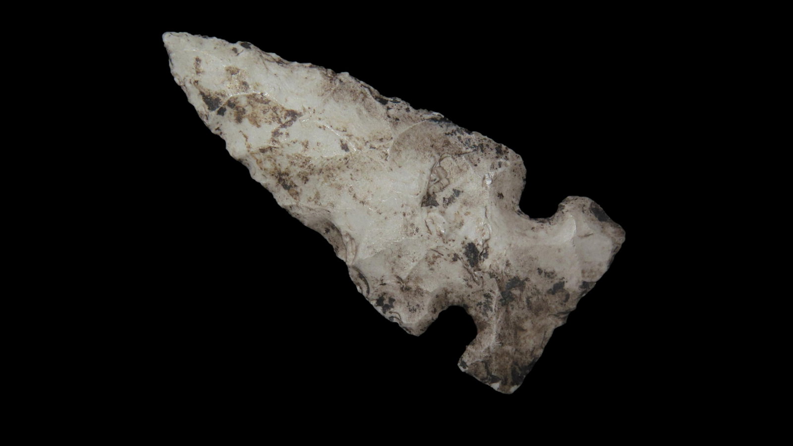 1 7/16" Reed, 1500-500 BP, For Identification Reference Overstreet 12th Edition Pg. 672: 1 7/16" Reed, 1500-500 BP, For Identification Reference Overstreet 12th Edition Pg. 672