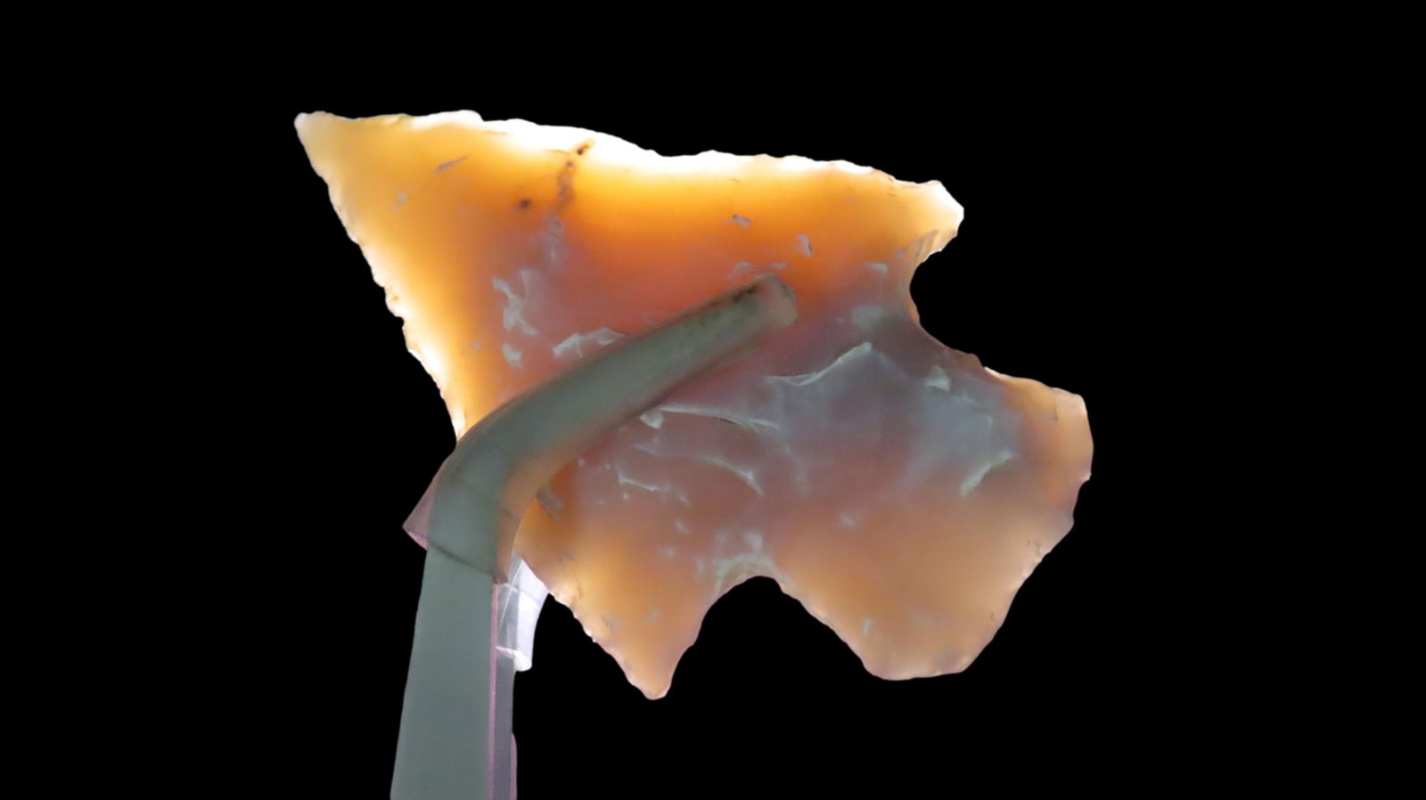 2 1/16" Val Verde, 5000-3000 BP, For Identification Reference Overstreet 10th Edition Pg. 681: 2 1/16" Val Verde, 5000-3000 BP, For Identification Reference Overstreet 10th Edition Pg. 681