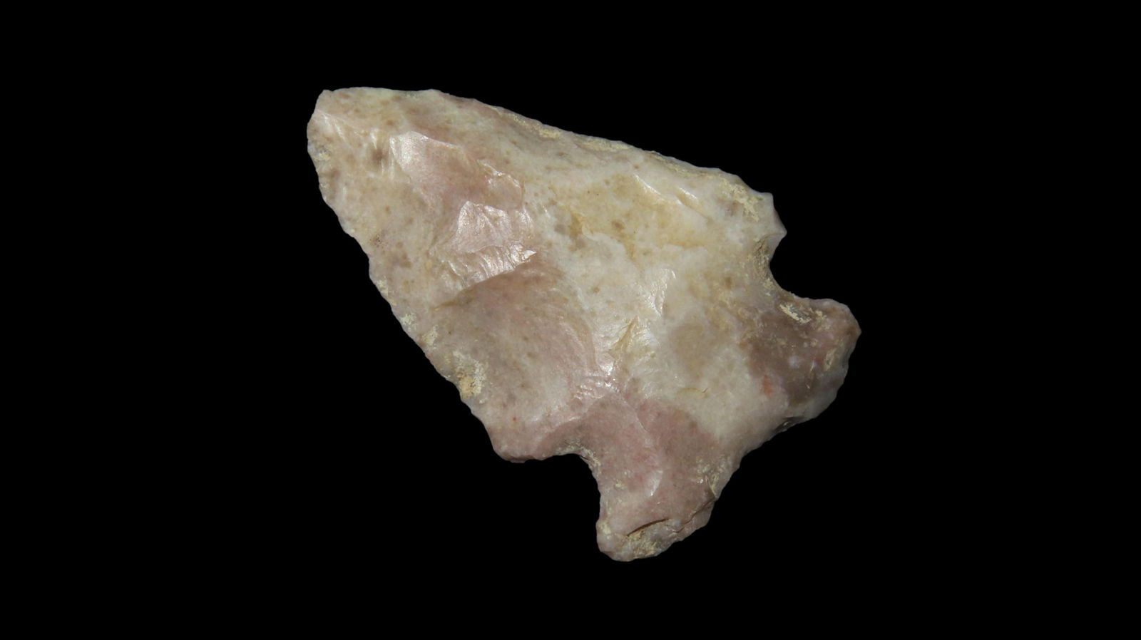 1 7/16" Besant, 1900-1500 BP, For Identification Reference Overstreet 10th Edition Pg. 906: 1 7/16" Besant, 1900-1500 BP, For Identification Reference Overstreet 10th Edition Pg. 906