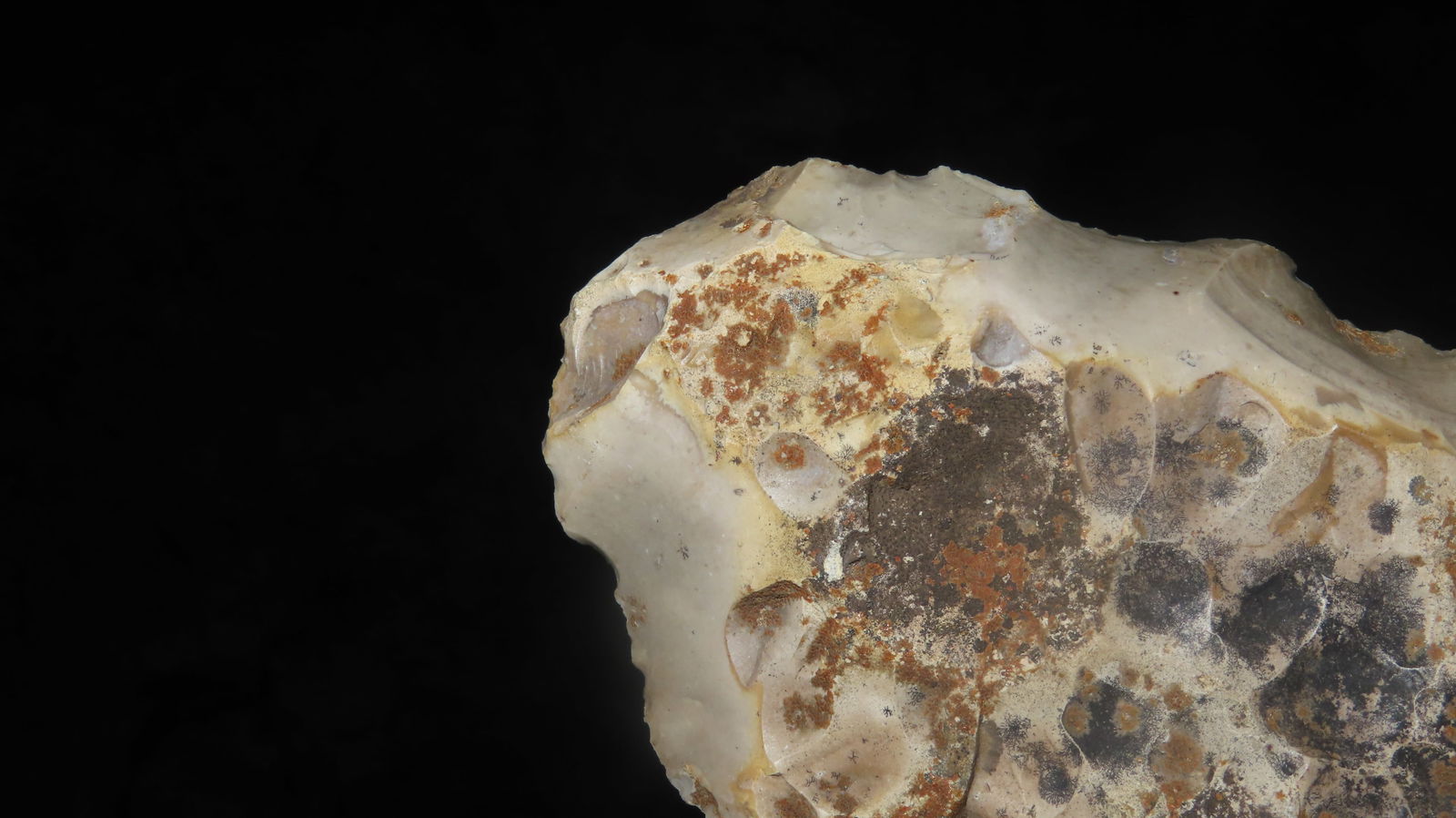 5 1/2" Adze/Spade - 4